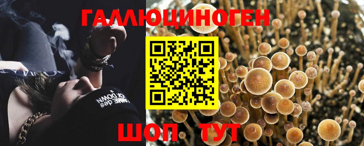 Галлюциногенные грибы Cubensis Миллерово