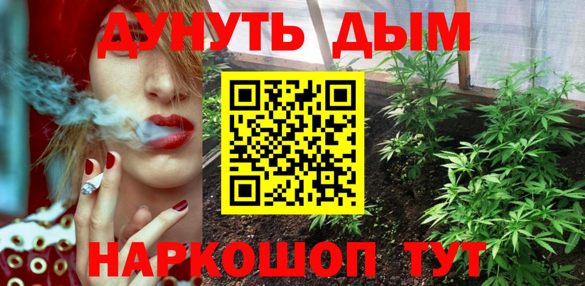 Марихуана VHQ  Марихуана план  МАРИХУАНА планчик  Каннабис планчик  Миллерово  Вход с VPN 